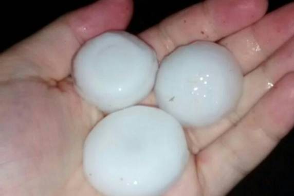 Estimativa da Defesa Civil é de que pelo menos 700 casas tenham sido 

atingidas pelo granizo