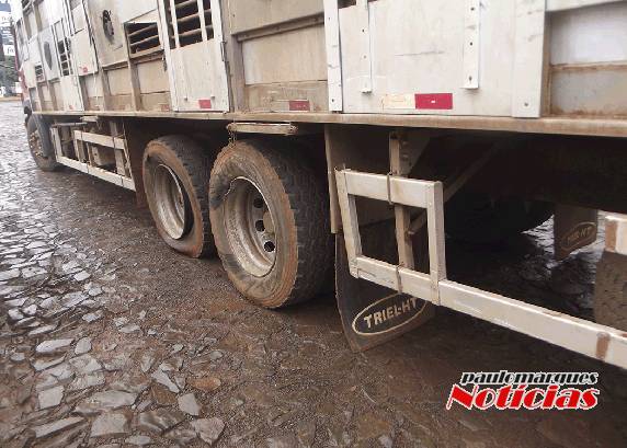 Acidente 

envolveu um caminhão transportador de suínos e uma carreta, em Três de Maio - foto 2