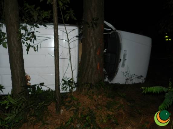 Jovem morre após capotar e colidir carro em árvore no trecho entre Passo Fundo/Ernestina - foto 3