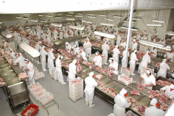 Embarques aumentar após o país embargar comprasdos Estados 

Unidos e da União Europeia