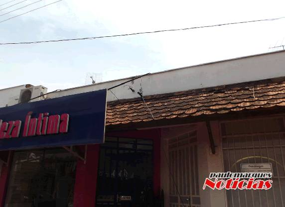 Mais 

um caso envolvendo caminhão e fios de telefones em Três de Maio - foto 3