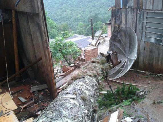 Árvore cai sobre casa e mata mulher de
29 anos em Gramado - foto 2