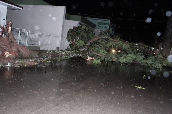 Temporal com ventos de mais de 110km/h causa grandes
estragos em Santiago - foto 2