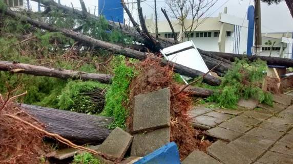 Temporal com ventos de mais de 110km/h causa grandes
estragos em Santiago - foto 3