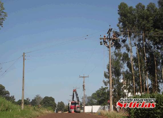Cortes de eucaliptos ocasionam queda de rede de energia em Caravágio-Três de Maio - foto 3