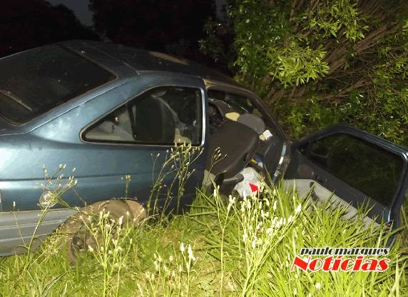 Veículo bate em árvore na BR 472 em Três de Maio;
motorista e possíveis ocupantes não foram localizados - foto 3