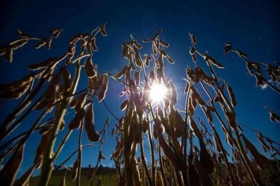 Deputado federal reeleito é citado na investigação que apura supostos desvios no 

programa
