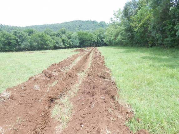 Administração de Independência concretiza irrigação em mais duas
propriedade em Lajeado Pessegueiro - foto 2
