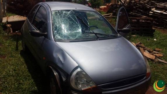Motorista que atropelou e fugiu sem prestar socorro é liberado após prestar depoimentos na Delegacia - foto 2