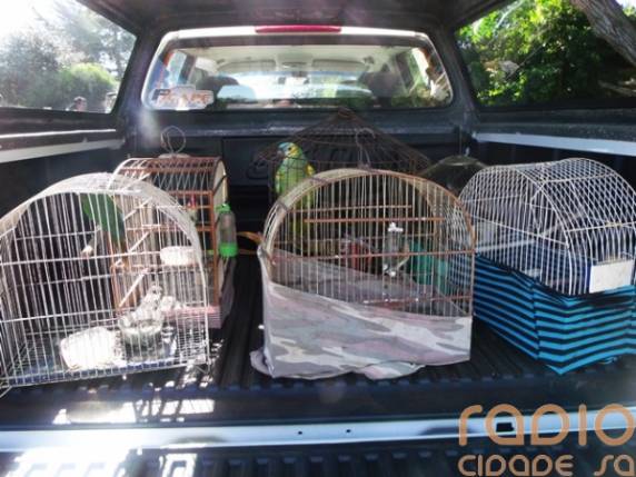 Suspeitos de terem arrombado caixa eletrônico do BB em
Ijuí, são presos em Santo Ângelo - foto 3