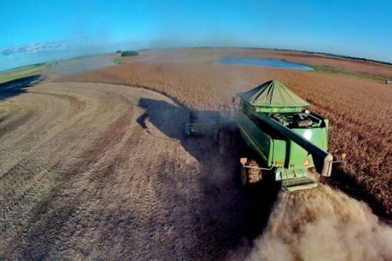 Mais de 70 anos depois do primeiro cultivo oficial, com 640 hectares, a estimativa de área 

plantada deve atingir históricos 5,1 milhões de hectares