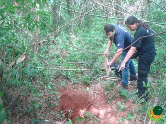 Caçador morre
entalado em toca de tatu no interior de Passo Fundo - foto 2