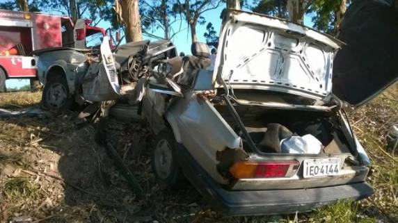 Duas pessoas morrem após carro bater em árvore no Litoral Norte - foto 2