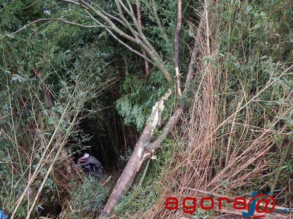 Acidente na BR 285 mata 

veterinária de Guarani das Missões neste domingo - foto 3