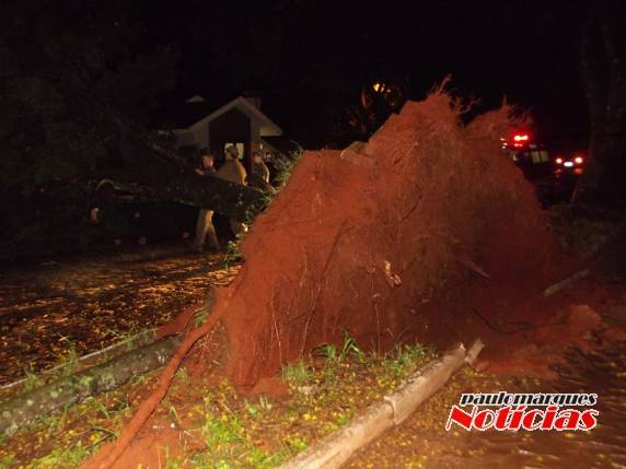 Ventos de grande intensidade ocasionam
estragos em Três de Maio e região - foto 2
