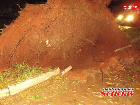 Ventos de grande intensidade ocasionam
estragos em Três de Maio e região - foto 3