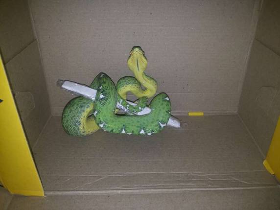 Serpente é encontrada em remessa do
Sedex em Passo Fundo - foto 3