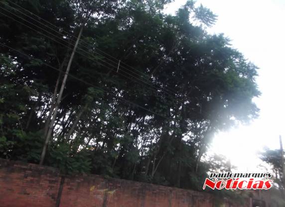 Chuva com vento enrolam os fios nos galhos e 

rompe a rede