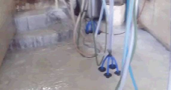 Não há indústrias interessadas no produto