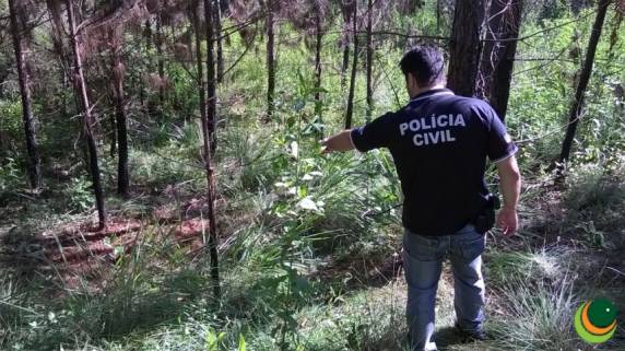Encontrada morta comerciária 

desaparecida: corpo foi localizado na saída para Pontão - foto 2