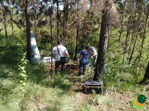 Encontrada morta comerciária 

desaparecida: corpo foi localizado na saída para Pontão - foto 3