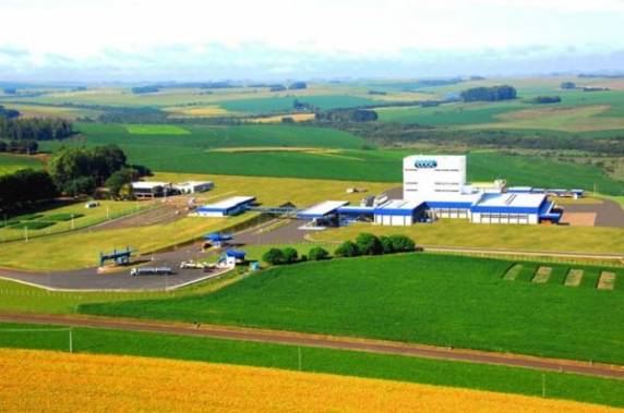 Produtores tem procurado a 

Coopatrigo com frequência em busca de destino para o leite