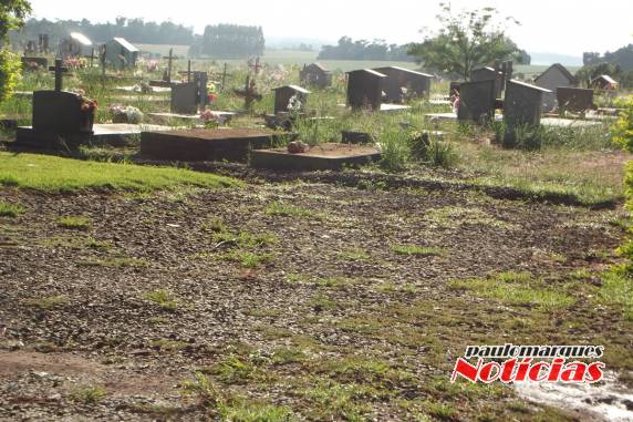 Munícipes reclamam da falta de limpeza no Cemitério Municipal de Três
de Maio - foto 3