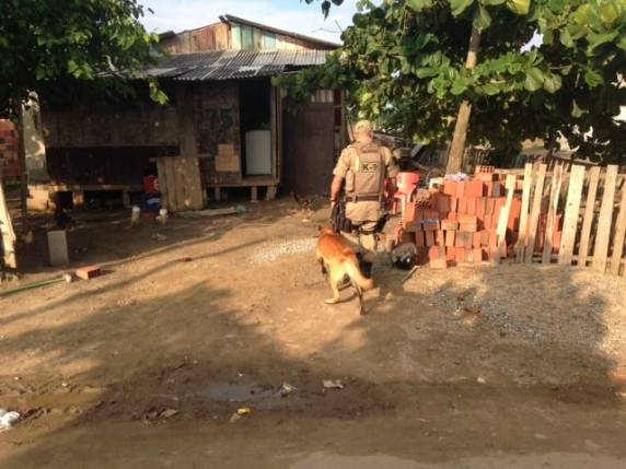 Mulher usava menores para a 

venda de drogas no Morretes, em Itapema - foto 2