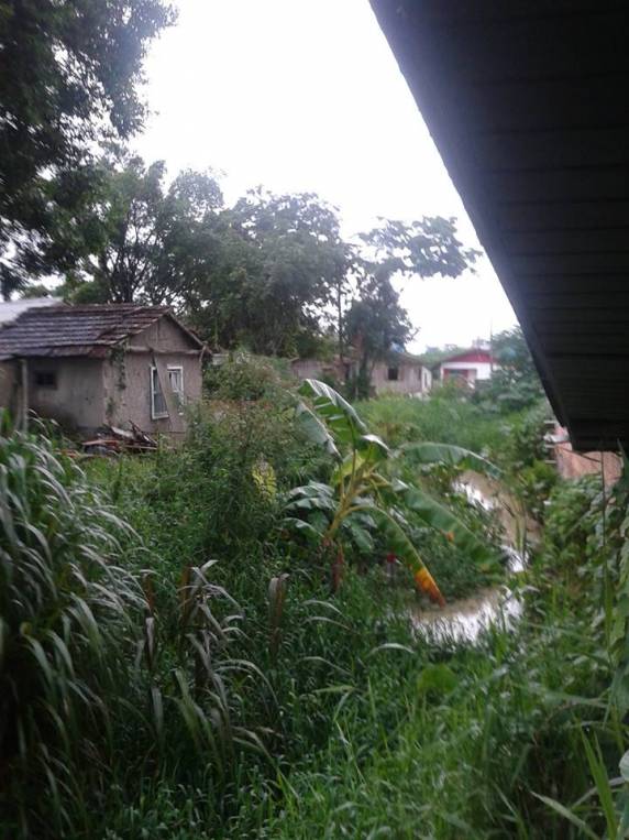 Bueiro não recebe serviço de limpeza a dois anos, segundo 

moradores