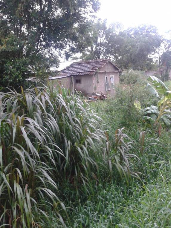 Enxurrada invade casas no bairro Várzea em Itapema - foto 3