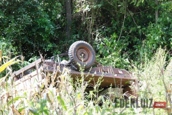 Apicultor tomba máquina agrícola e fica preso cercado por milhares de abelhas - foto 2
