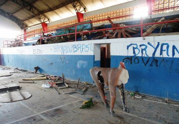 Ginásio continua abandonado em Itapema - foto 7