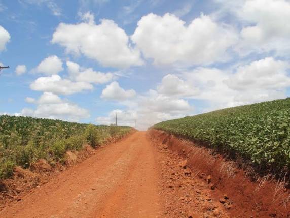 Executivo vistoria obras nas estradas do
interior de Três de Maio - foto 4
