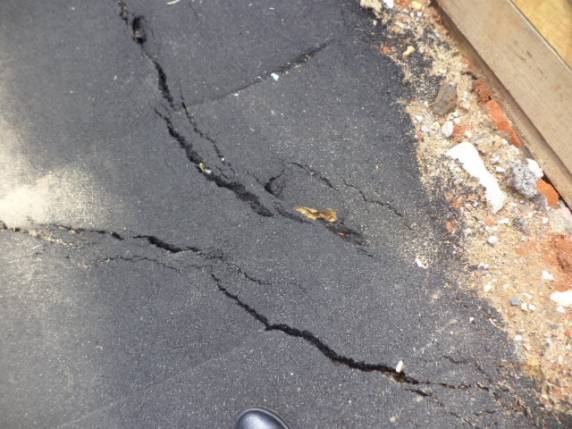 Fissuras e movimentação de terra fazem Defesa Civil interditar pista na Osvaldo Reis em Itajaí - foto 4