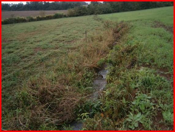 Estudo aponta perda de 15 tonelada/hora de solo em microbacia de 500 hectares - foto 5