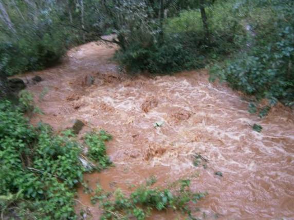 Estudo aponta perda de 15 tonelada/hora de solo em microbacia de 500 hectares - foto 4