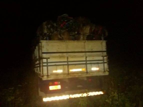 Acidente com vítima fatal na BR 158 em Palmeira das Missões - foto 5