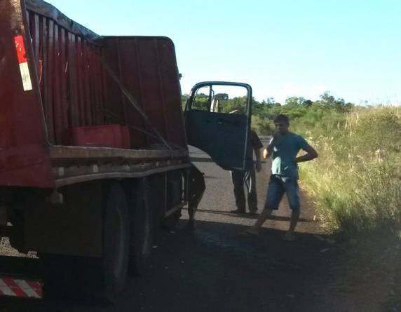 Passageiro de Astra morre após acidente entre São Luiz e Roque Gonzales - foto 5