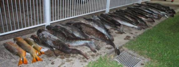 POE da
Brigada Militar de Santiago apreende carregamento de peixes - foto 2