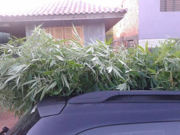 Operação Barão leva 21 para a cadeia por tráfico - foto 4