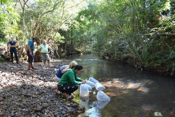 5ª Cavalgada Ecológica Inhacorense - foto 6