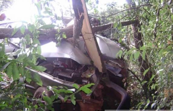 Homem fica gravemente ferido em acidente na ERS 155 - foto 4