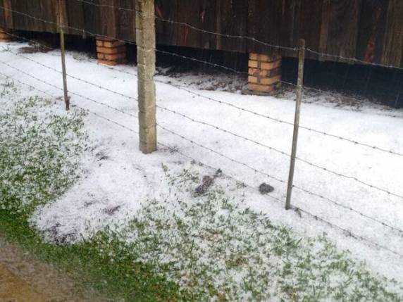 Chuva de granizo atinge Curitibanos e
danifica casas em Santa Catarina - foto 4