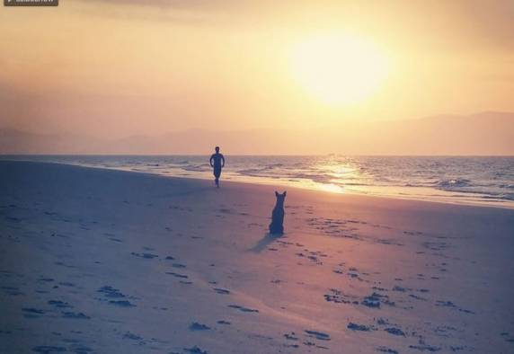 Florianópolis comemora 289 anos - foto 2