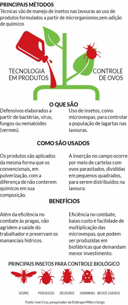 Resistência de pragas a agrotóxicos faz crescer interesse por controle biológico - foto 2