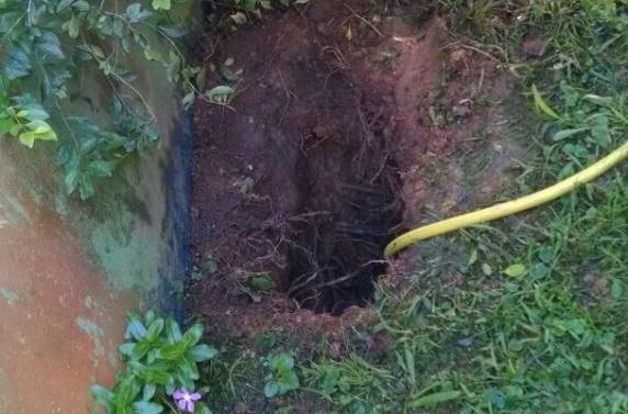 Diretor do Presídio Regional de Blumenau é preso em operação - foto 3