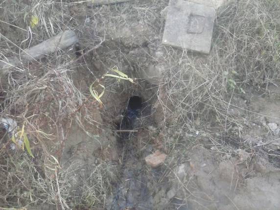 A denúncia é de moradores de casas populares