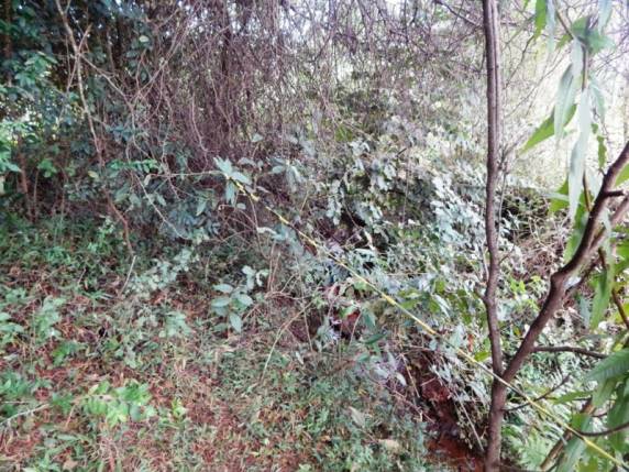 Moradores da Vila 30 encontram corpo eme decomposição,
em São Luiz Gonzaga - foto 2