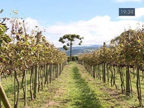 Evento em sete cidades oferece 20 atrações culturais gratuitas