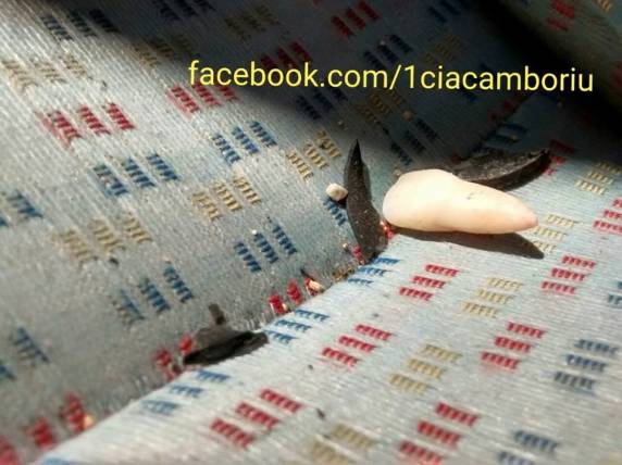 Dente ajuda policiais a encontrarem criminosos - foto 4